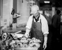 L1001344-Fish Butcher