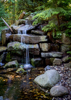 Cliff Trail Stream