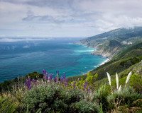 Above Big Sur Coast