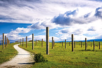 Cloud Path