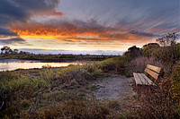 Bench View - Guy Blase