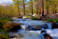 Creek View - Golden Trout Camp, Eastern Sierra Nevadas