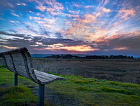 Baylands Bench II