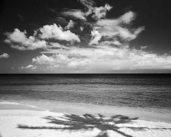 Palm Shadow, Kaanapali, HI