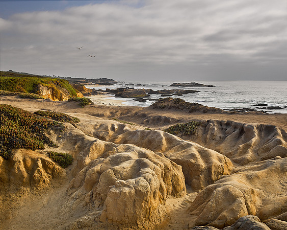 Pescadero Beach, CA