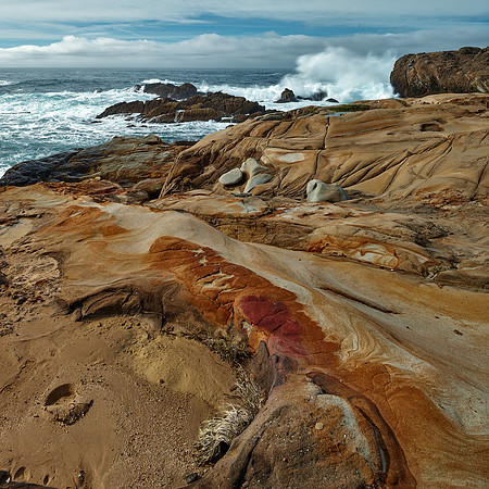Zenfolio-PtLobos-2015-Weston03006-MASTER