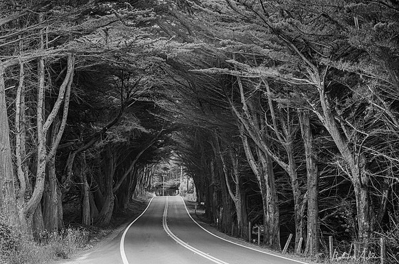 Tunnel Road