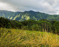 Eastern Kauai Highlands II