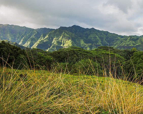 Eastern Kauai Highlands II