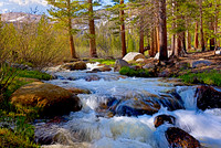 COSM-ISD-Camp River View MASTER 21x15 Pano-42