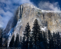 COSM-ISD-Calendar 2013-122