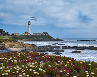 Pigeon Pt. Lighthouse I