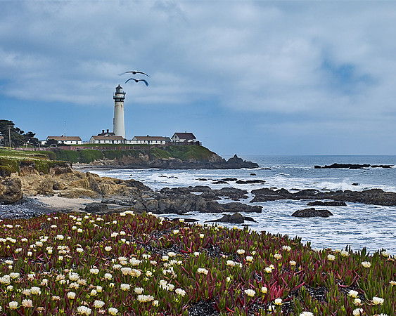 Pigeon Pt. Lighthouse I