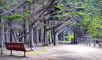 Bench View - Fitzgerald