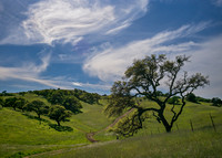 Pacheco Pass Park