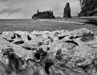Driftwood and Sea Stacks, Ruby Beach, WA