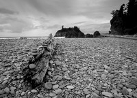 Ruby Beach Cairns