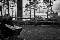 Bench View - Ruby Beach, Olympia WA