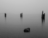 Fog on Lake Quinault