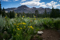 Trail To Frog Lake