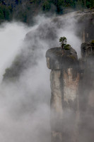 Lone Pine II