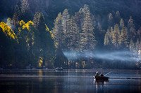 Morning Light