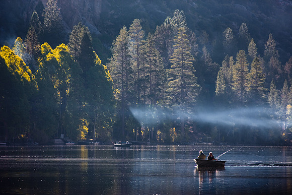 Morning Light