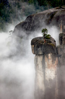 Lone Pine