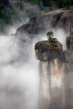 Lone Pine