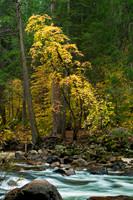 Merced River Fall
