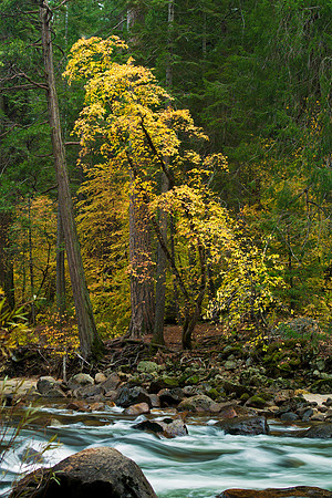Merced River Fall