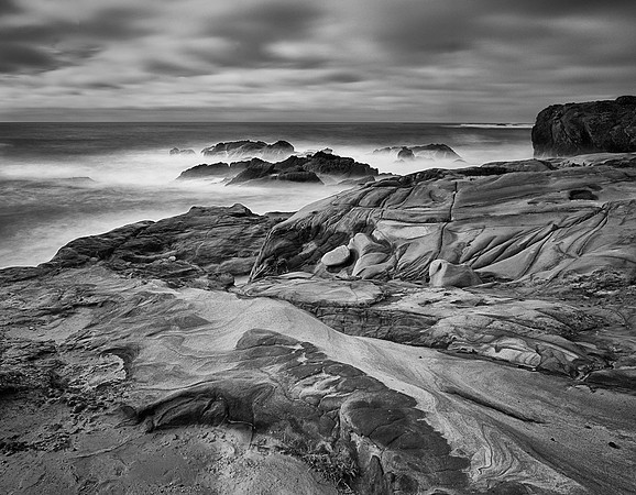 Zenfolio-PtLobos-2010-12-21-Weston02975-BW-MASTER