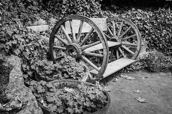 Bench of Wheels