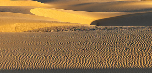 Golden Dunes