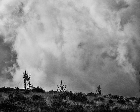 Haleakala Eruption IV