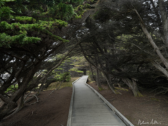 Tunnel Walkway