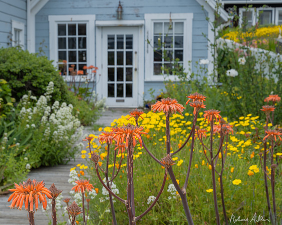 Mendocino Cottage