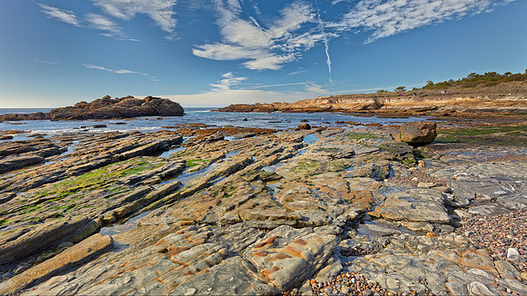 Pt. Lobos Lines