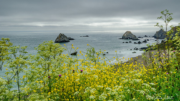 Distant Arch