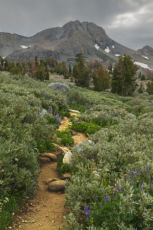 Kit Carson Trail to Lake Winnemucca