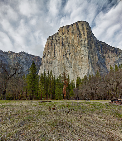 El Capitan - Spring Drought