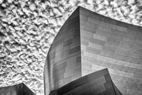 Study III - Disney Concert Hall