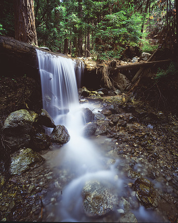 COSM-ISD-Falls 2 Imacon 002CS4_InputSharp-17