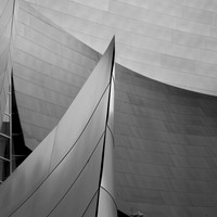 Study I - Disney Concert Hall