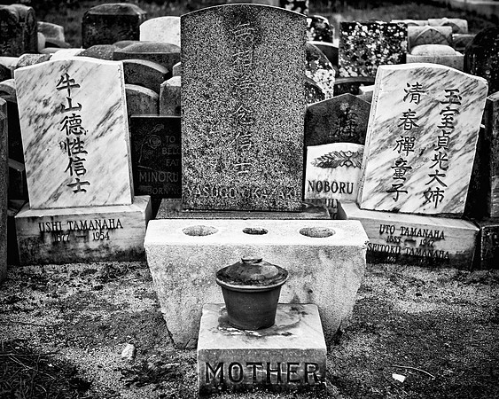Generations I