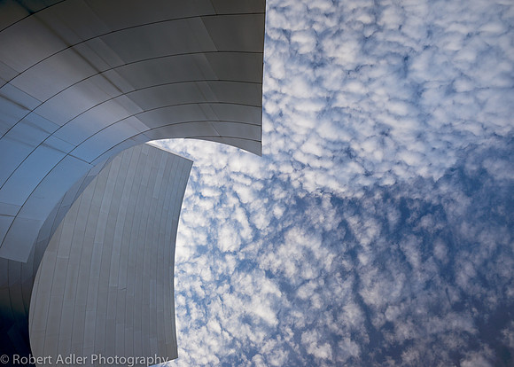 Study VIII - Disney Concert Hall