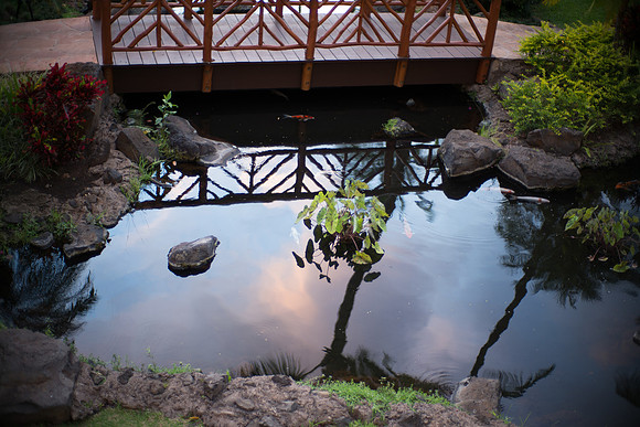 Bridge Reflection