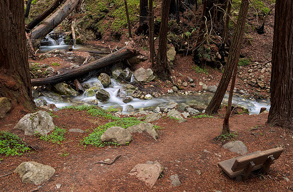 Bench View- Limekiln State Park
