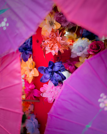 Under The Umbrellas